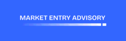 market entry advisory